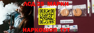 mdpv Заводоуковск