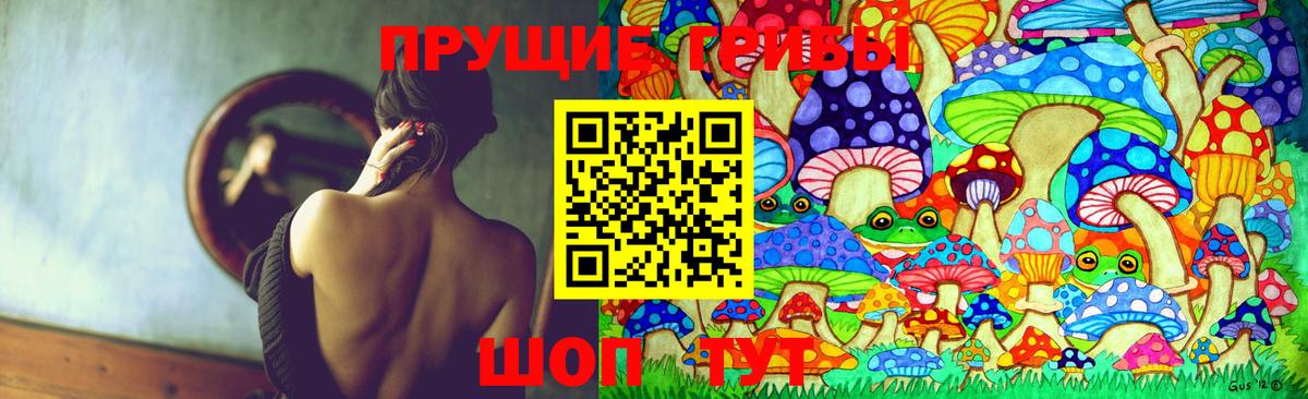 Псилоцибиновые грибы Psilocybine cubensis  Вход с VPN  Челябинск 